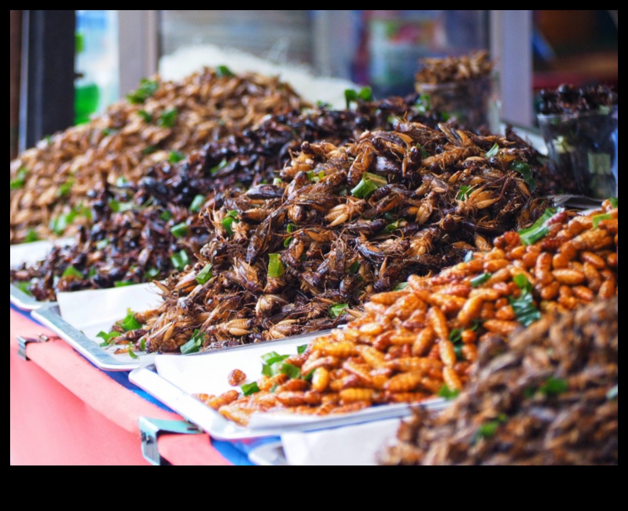 Gıdanın Geleceği: Vegan Bir Paradigmayı Benimsemek