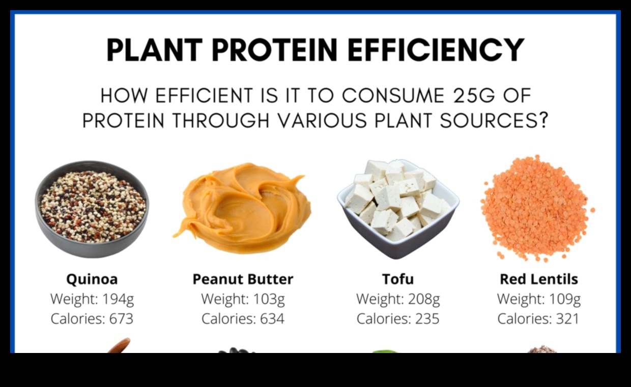 Kronik Hastalıkların Yönetiminde Proteinin Rolü