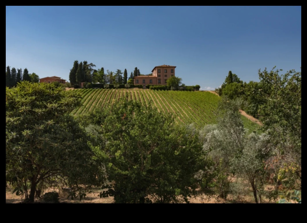 Tuscan Hazineleri: Otantik İtalyan Tarifler Maruz Kaldı