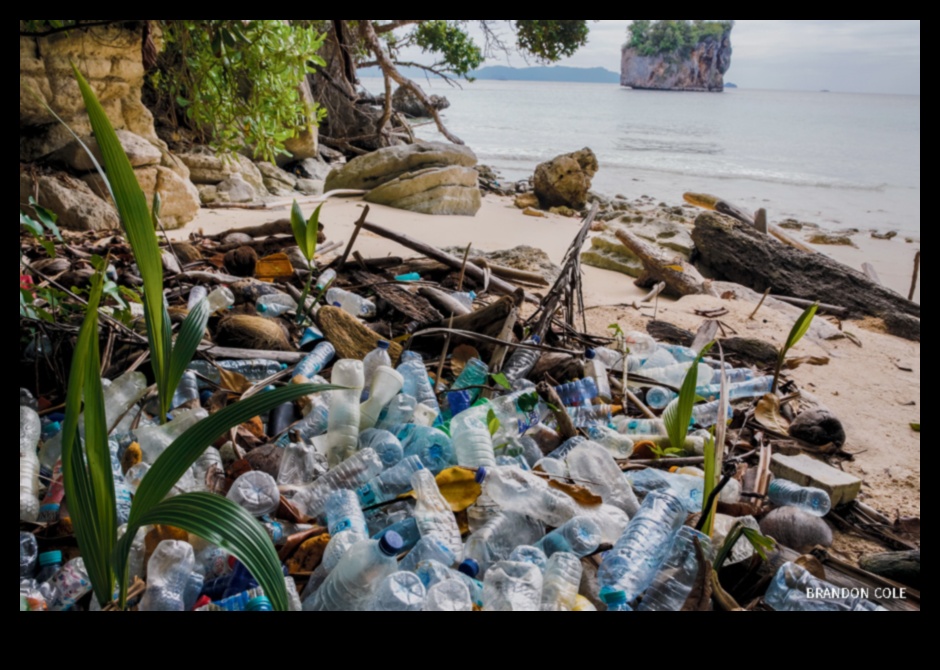 Kıyı manzaraları plastik kirliliğin zorluklarına nasıl uyum sağlıyor?