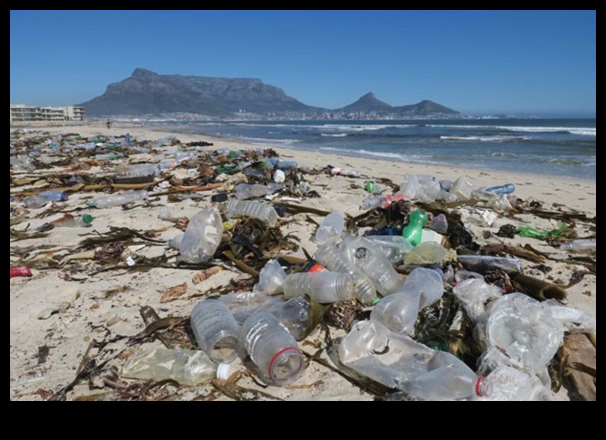 Kıyı manzaraları plastik kirliliğin zorluklarına nasıl uyum sağlıyor?