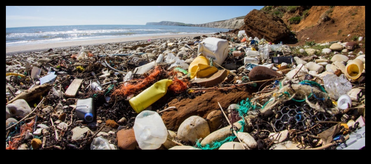 Kıyı manzaraları plastik kirliliğin zorluklarına nasıl uyum sağlıyor?